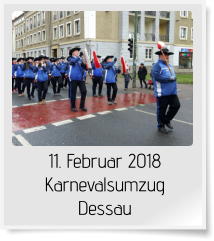 11. Februar 2018 Karnevalsumzug Dessau